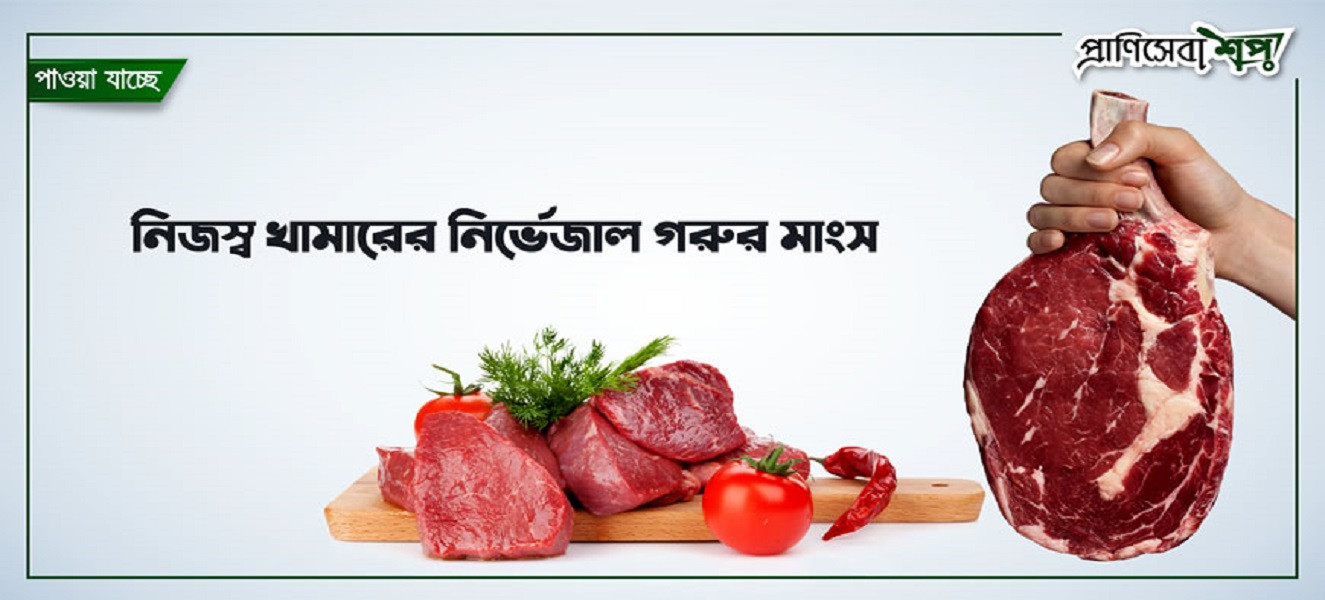Pranisheba Shop promo
