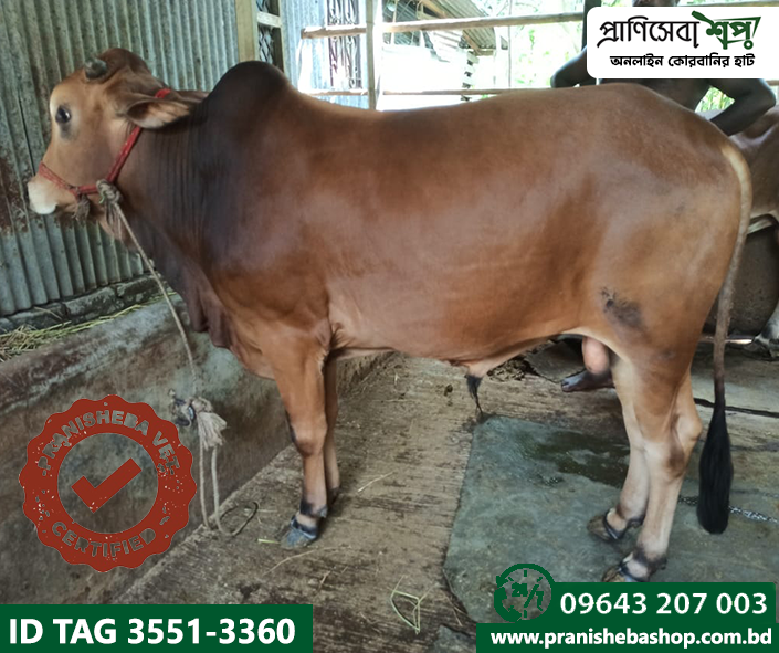 Bull Tag-3551 Uid-3360