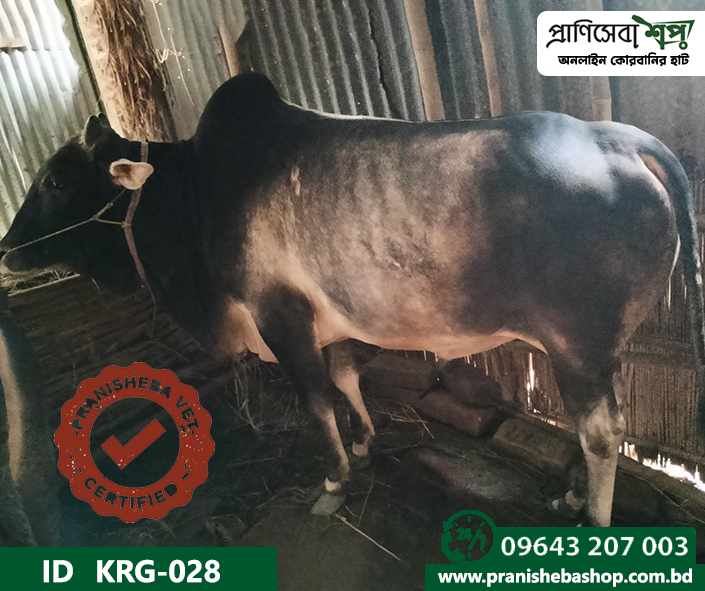 Bull KRG-0028