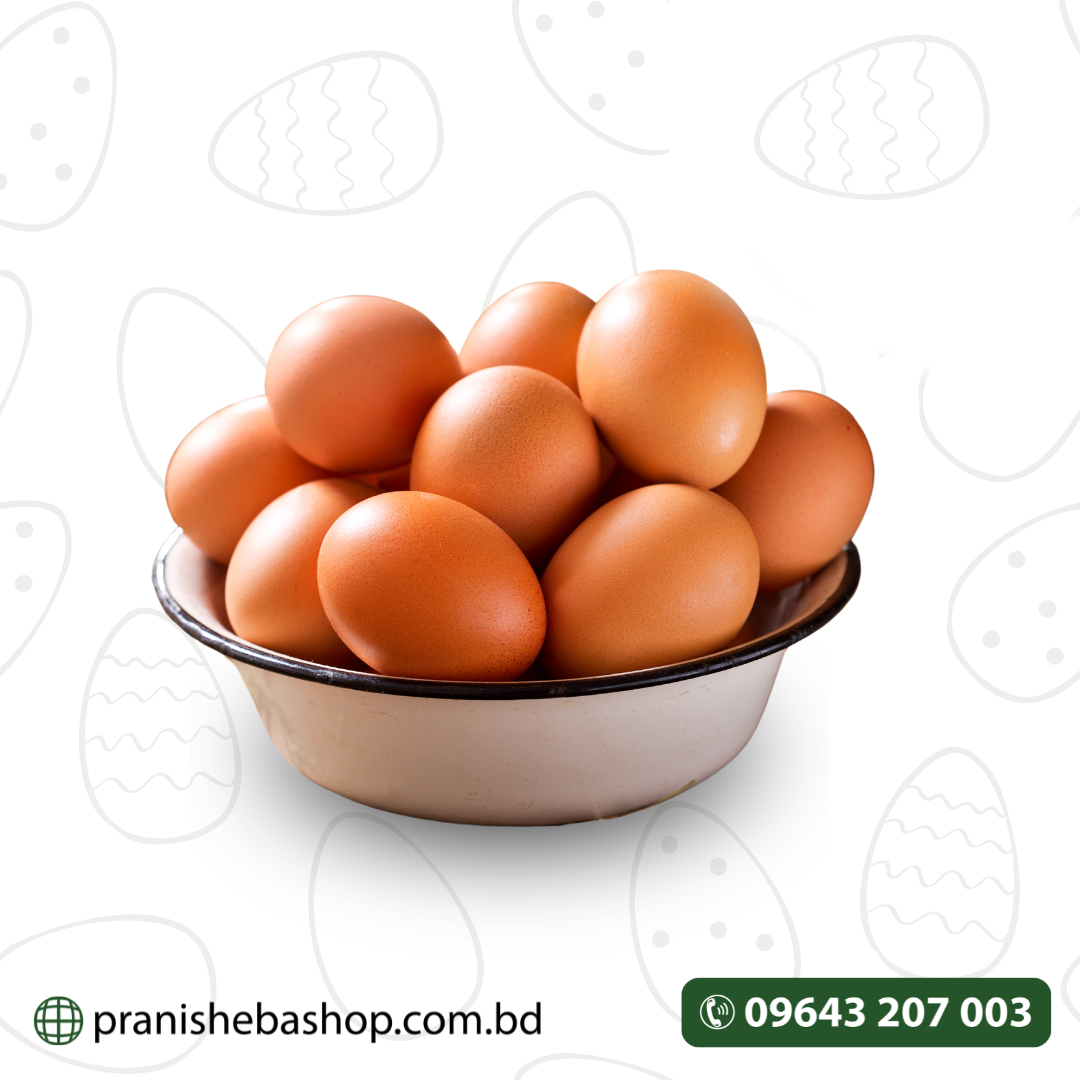 Chicken Brown Egg (Layer)
