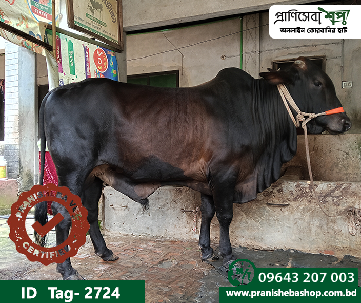 Bull Tag: 2724