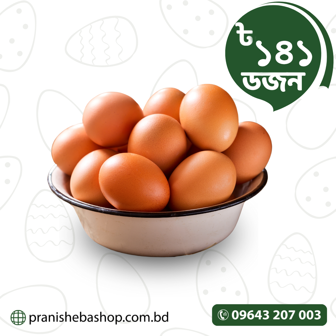 Chicken Brown Egg (Layer)
