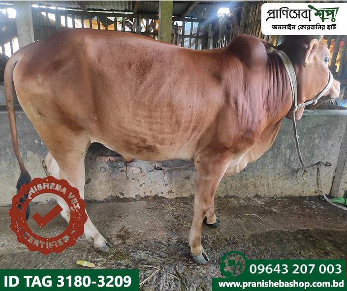 Bill Tag-3180 :Uid-3209